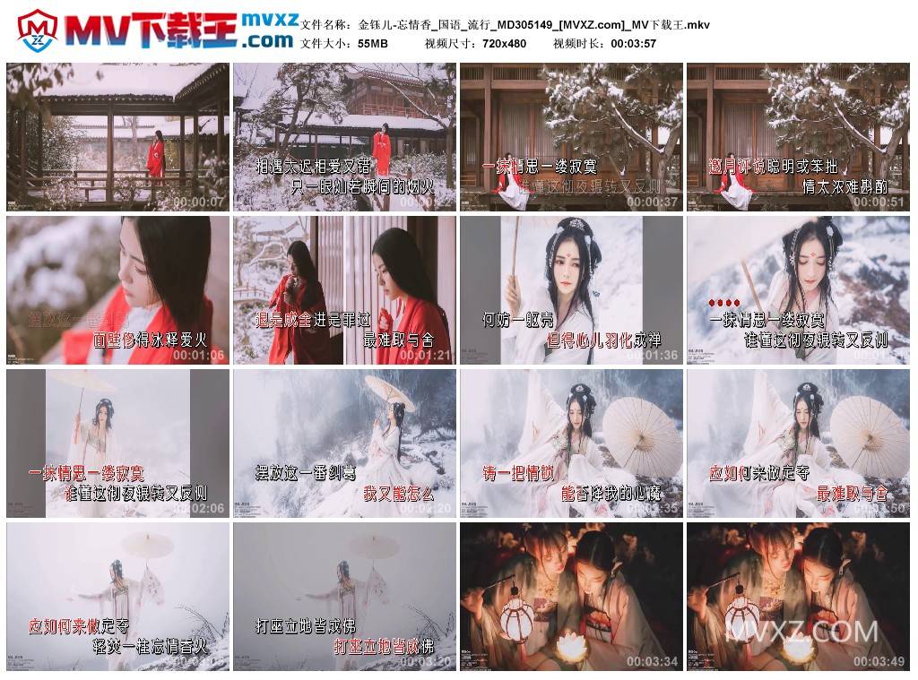 金钰儿-忘情香_国语_流行_MD305149